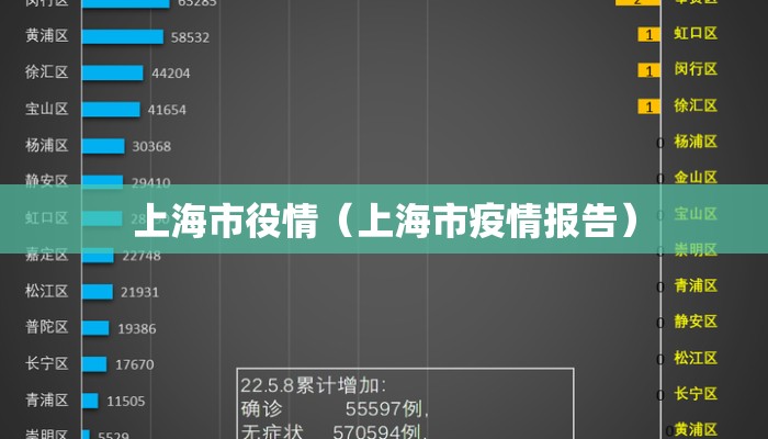 上海市役情（上海市疫情报告）