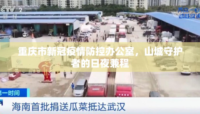 重庆市新冠疫情防控办公室，山城守护者的日夜兼程