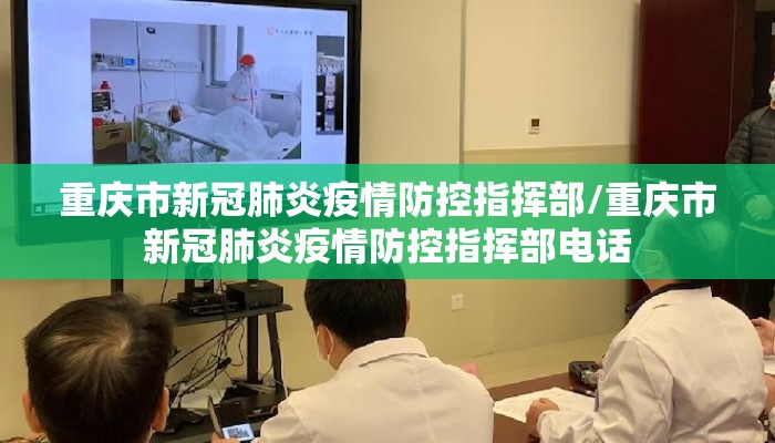 重庆市新冠肺炎疫情防控指挥部/重庆市新冠肺炎疫情防控指挥部电话