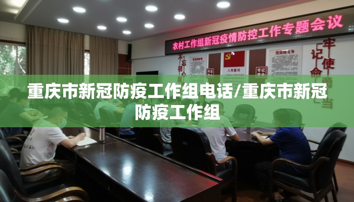 重庆市新冠防疫工作组电话/重庆市新冠防疫工作组