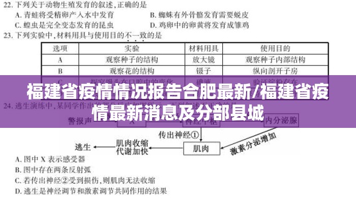 福建省疫情情况报告合肥最新/福建省疫情最新消息及分部县城