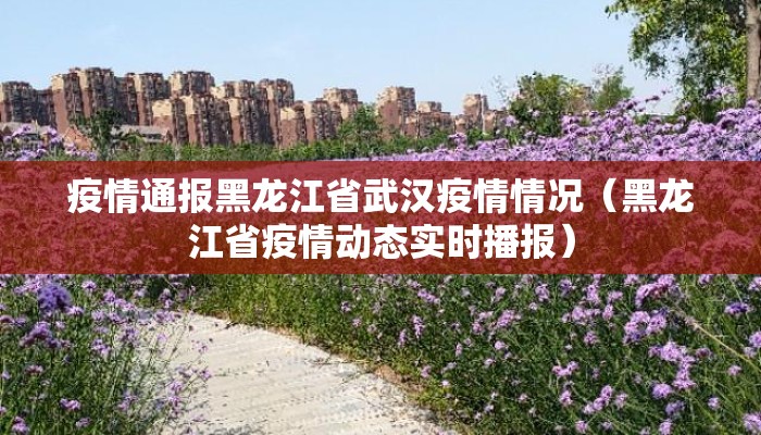 疫情通报黑龙江省武汉疫情情况（黑龙江省疫情动态实时播报）