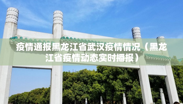 疫情通报黑龙江省武汉疫情情况（黑龙江省疫情动态实时播报）