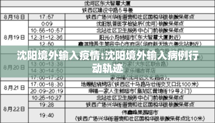 沈阳境外输入疫情:沈阳境外输入病例行动轨迹