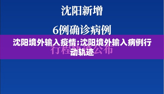 沈阳境外输入疫情:沈阳境外输入病例行动轨迹