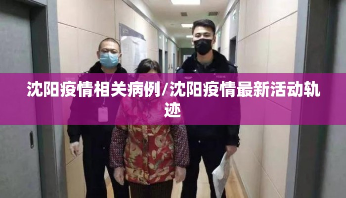 沈阳疫情相关病例/沈阳疫情最新活动轨迹