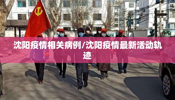 沈阳疫情相关病例/沈阳疫情最新活动轨迹