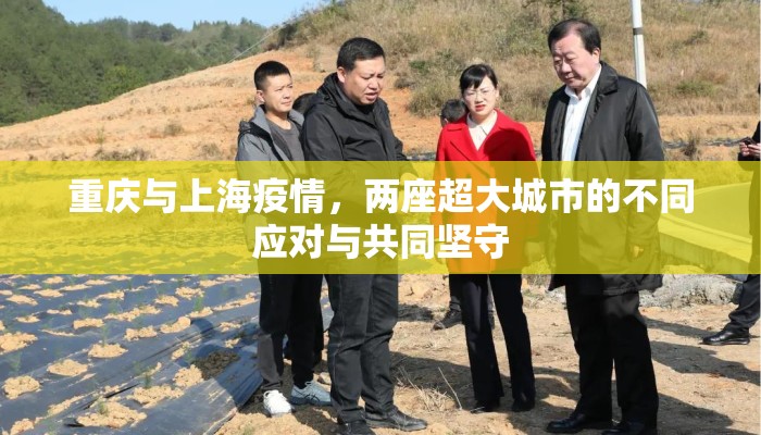 重庆与上海疫情，两座超大城市的不同应对与共同坚守