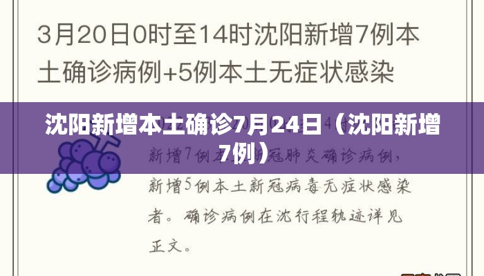 沈阳新增本土确诊7月24日（沈阳新增7例）