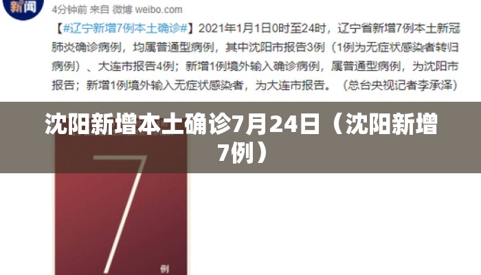 沈阳新增本土确诊7月24日（沈阳新增7例）