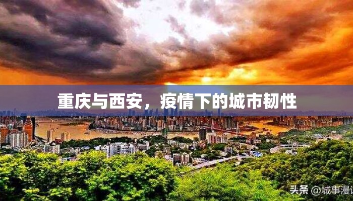 重庆与西安，疫情下的城市韧性