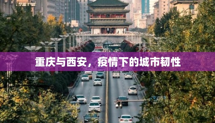 重庆与西安，疫情下的城市韧性