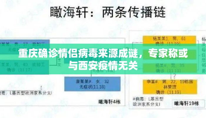 重庆确诊情侣病毒来源成谜，专家称或与西安疫情无关