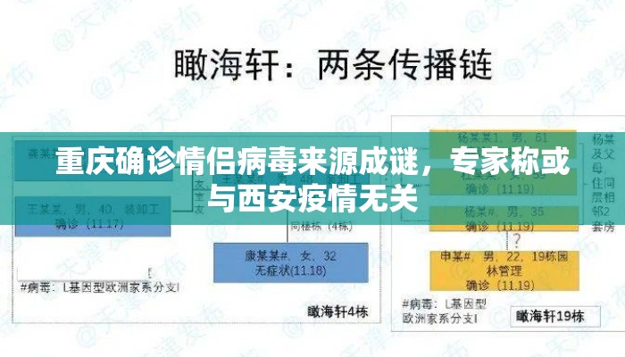 重庆确诊情侣病毒来源成谜，专家称或与西安疫情无关