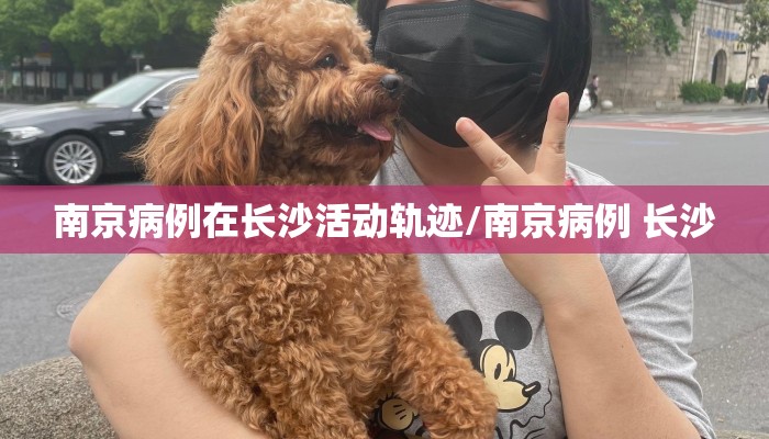 南京病例在长沙活动轨迹/南京病例 长沙