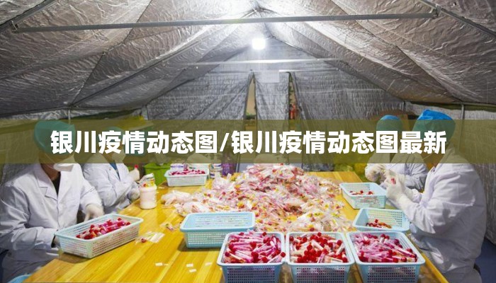 银川疫情动态图/银川疫情动态图最新