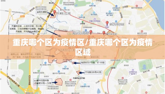 重庆哪个区为疫情区/重庆哪个区为疫情区域