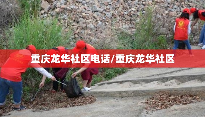 重庆龙华社区电话/重庆龙华社区
