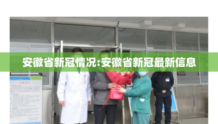 安徽省新冠情况:安徽省新冠最新信息