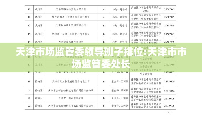 天津市场监管委领导班子排位:天津市市场监管委处长