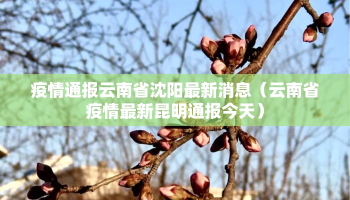 疫情通报云南省沈阳最新消息（云南省疫情最新昆明通报今天）
