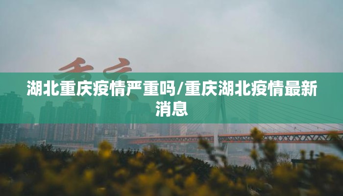 湖北重庆疫情严重吗/重庆湖北疫情最新消息