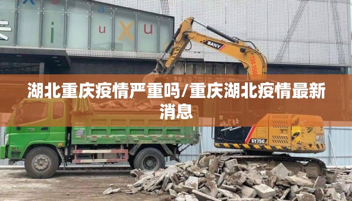 湖北重庆疫情严重吗/重庆湖北疫情最新消息