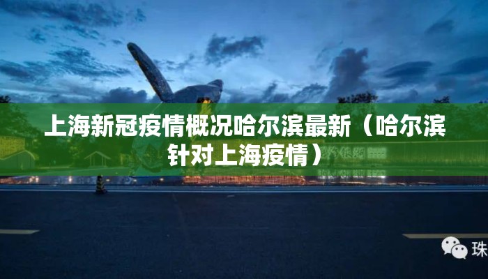 上海新冠疫情概况哈尔滨最新（哈尔滨针对上海疫情）