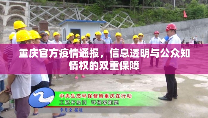 重庆官方疫情通报，信息透明与公众知情权的双重保障