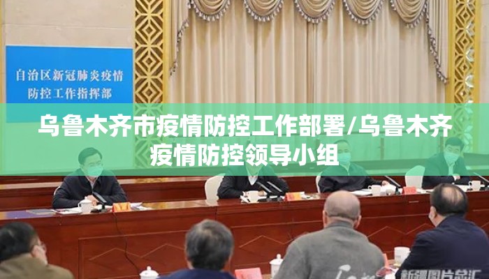 乌鲁木齐市疫情防控工作部署/乌鲁木齐疫情防控领导小组