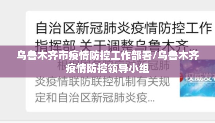 乌鲁木齐市疫情防控工作部署/乌鲁木齐疫情防控领导小组