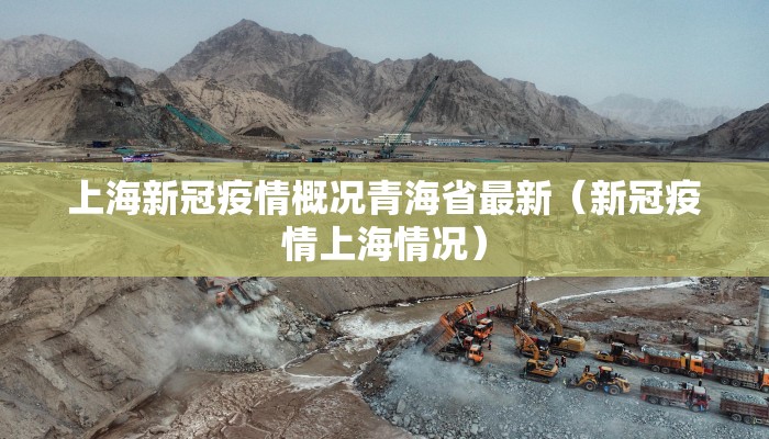 上海新冠疫情概况青海省最新（新冠疫情上海情况）