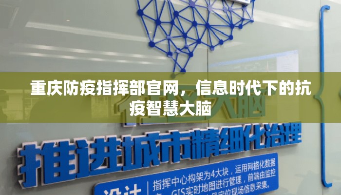 重庆防疫指挥部官网，信息时代下的抗疫智慧大脑