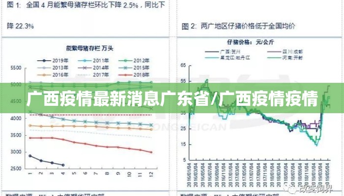 广西疫情最新消息广东省/广西疫情疫情