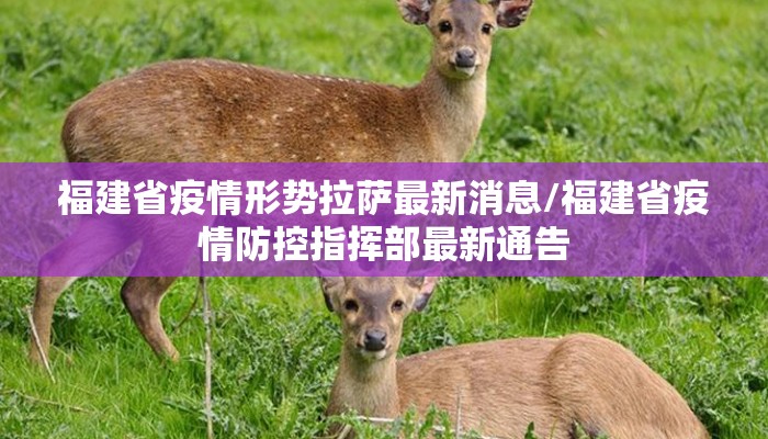 福建省疫情形势拉萨最新消息/福建省疫情防控指挥部最新通告