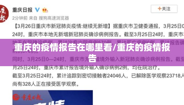重庆的疫情报告在哪里看/重庆的疫情报告