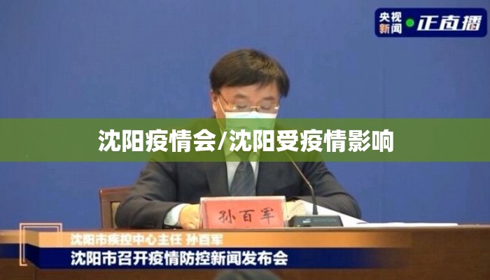 沈阳疫情会/沈阳受疫情影响