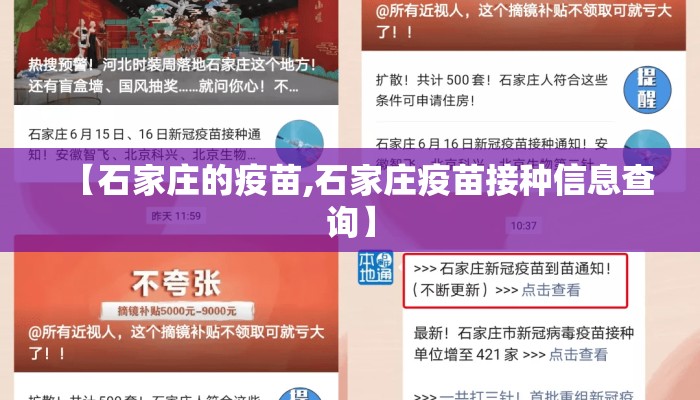 【石家庄的疫苗,石家庄疫苗接种信息查询】