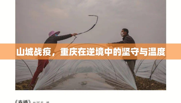 山城战疫,重庆在逆境中的坚守与温度 山城战疫,重庆在逆境中的坚守与温度