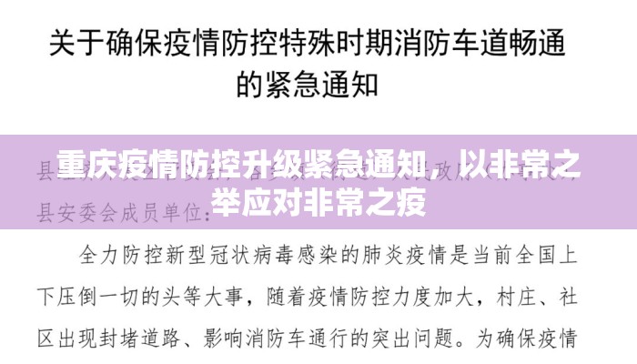 重庆疫情防控升级紧急通知，以非常之举应对非常之疫