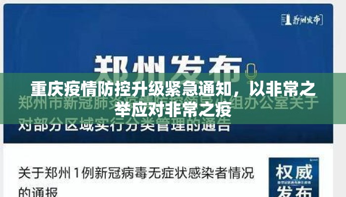 重庆疫情防控升级紧急通知，以非常之举应对非常之疫