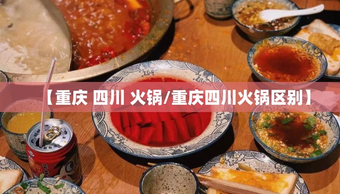 【重庆 四川 火锅/重庆四川火锅区别】