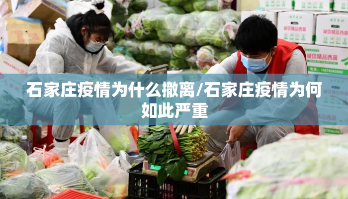 石家庄疫情为什么撤离/石家庄疫情为何如此严重