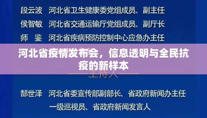 河北省疫情发布会，信息透明与全民抗疫的新样本