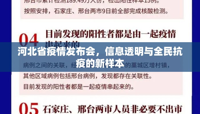 河北省疫情发布会，信息透明与全民抗疫的新样本