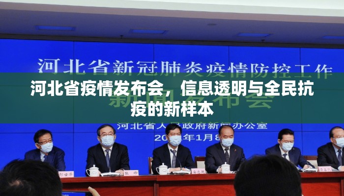 河北省疫情发布会，信息透明与全民抗疫的新样本
