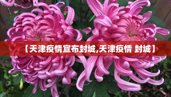 【天津疫情宣布封城,天津疫情 封城】