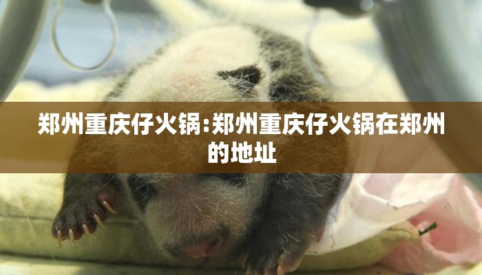 郑州重庆仔火锅:郑州重庆仔火锅在郑州的地址