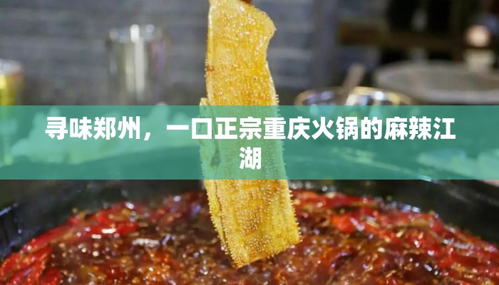 寻味郑州，一口正宗重庆火锅的麻辣江湖