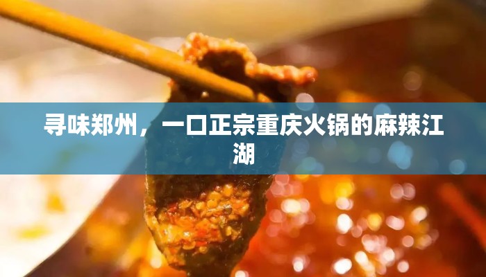 寻味郑州，一口正宗重庆火锅的麻辣江湖